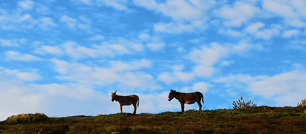 Anes sur les monts d'Ardèche