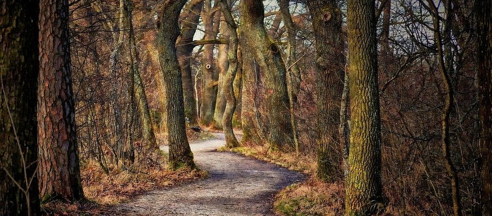 Auvergne en raquettes à neige en famille
