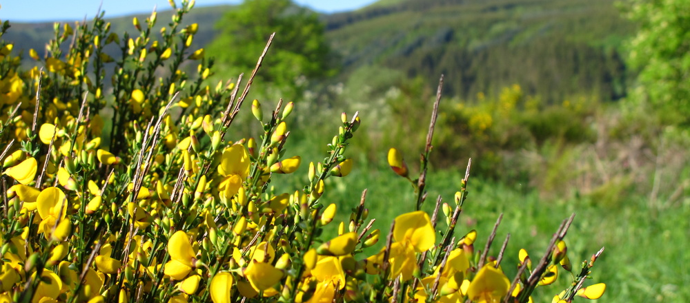 Randonnée accompagnée en Auvergne avec Aluna voyages