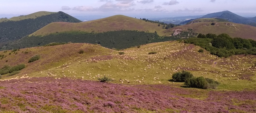 Randonnée accompagnée sur les volcans d'Auvergne