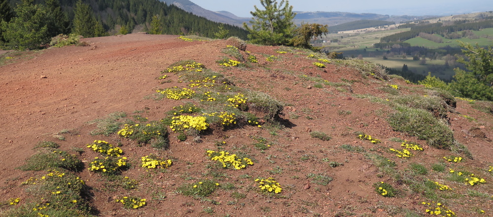 Puy de la Vache  Chaine des Puys patrimoine mondiale de l'UNESCO