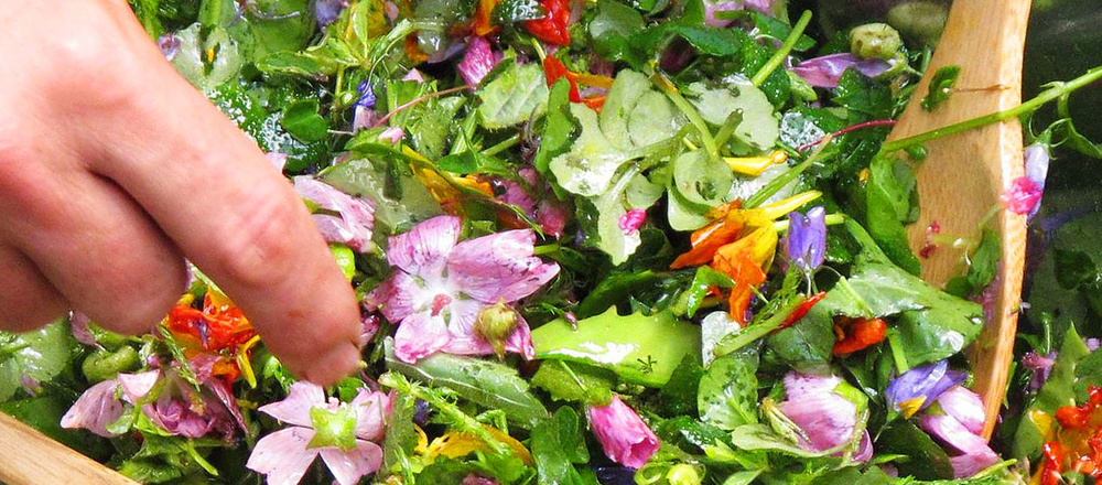 Salade de plantes sauvages