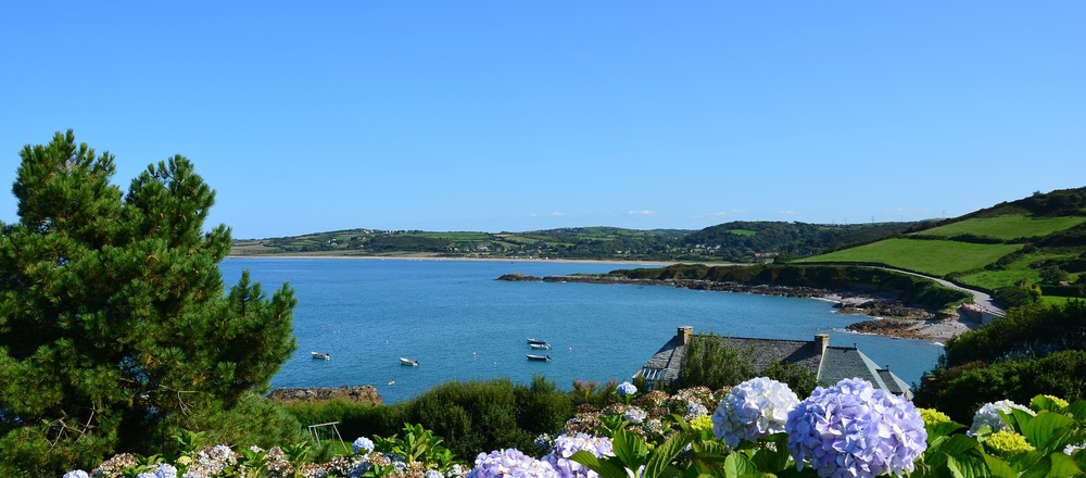 Baie des bord de Cotentin et hortensia