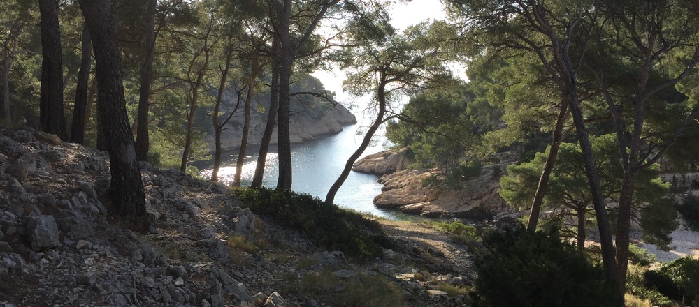 Calanque de Port Pin Parc National des Calanques