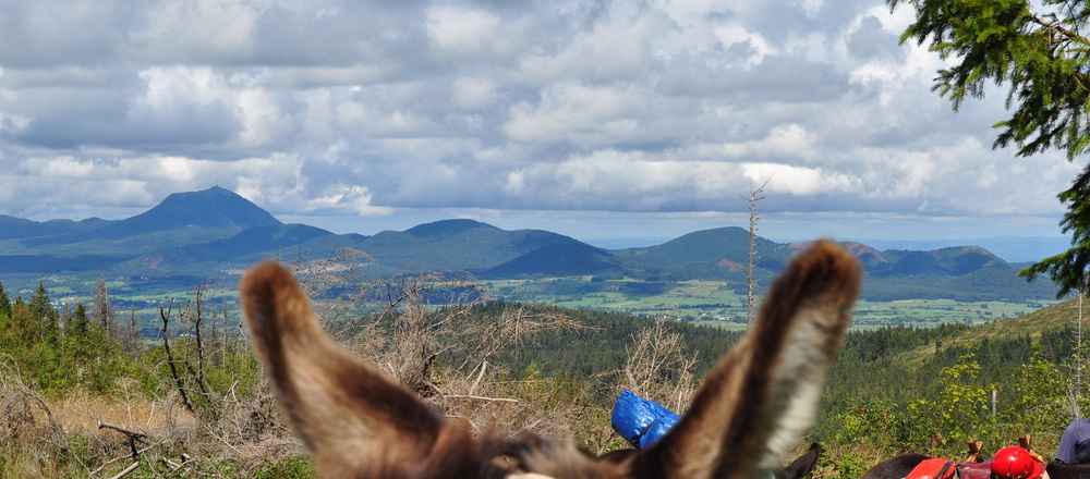 Volcans de la Chaine des Puys avec des ânes