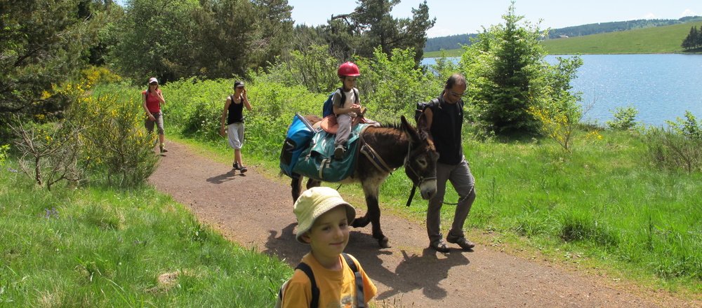 Randonnée  avec un âne près du Lac Servière