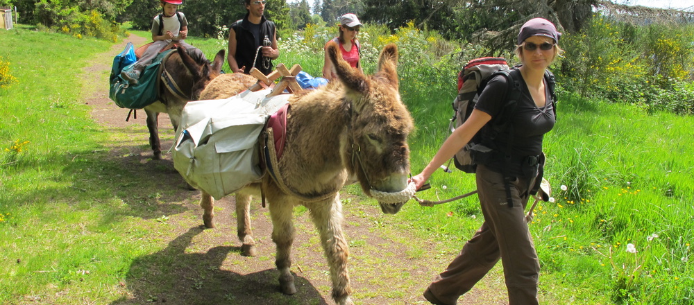 Randonnée  avec un âne Auvergne