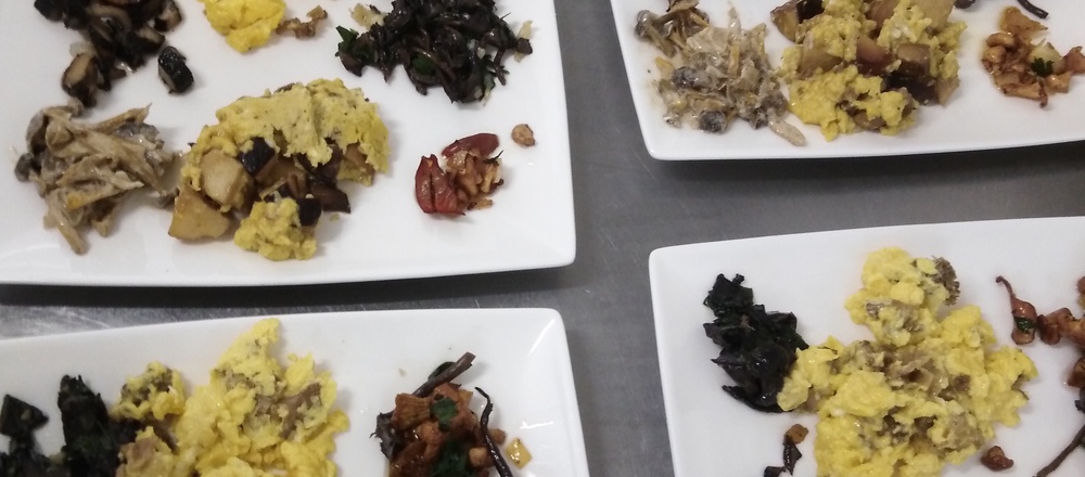 cueillette et cuisine des champignons