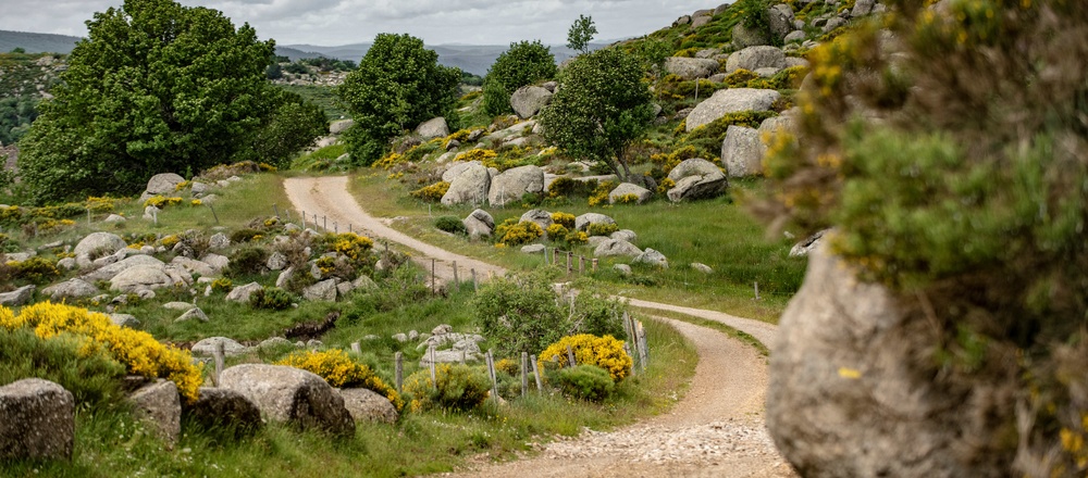 Randonnée accompagnée Mont Lozère