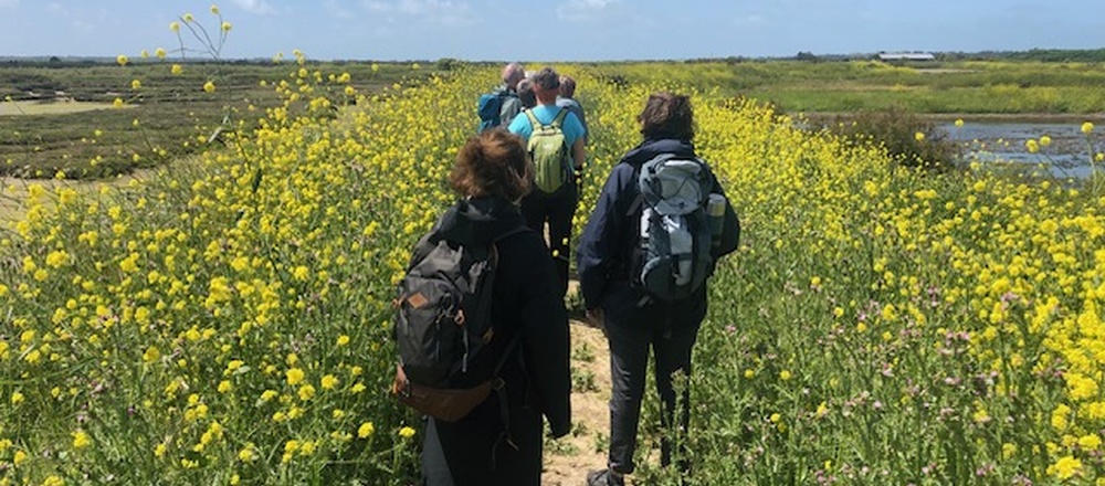 Ile de ré  en Marche nordique