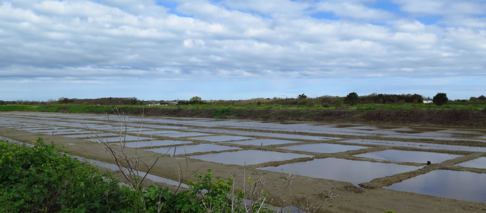 ile de Ré Parc en oeuillet