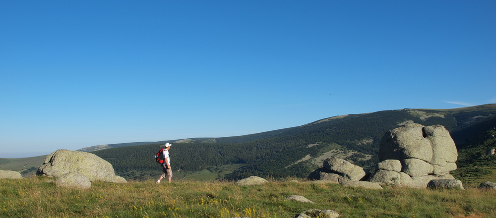randonnée sur le chemin de Stenvenson en liberté