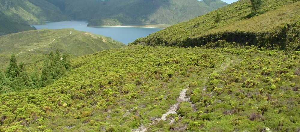 Sao Miguel aux Açores