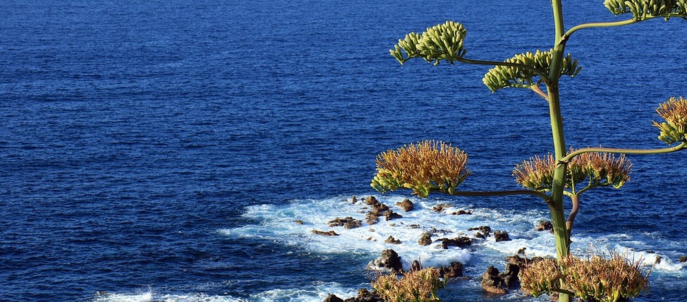 hiking in Canaries Islands with Aluna Voyages