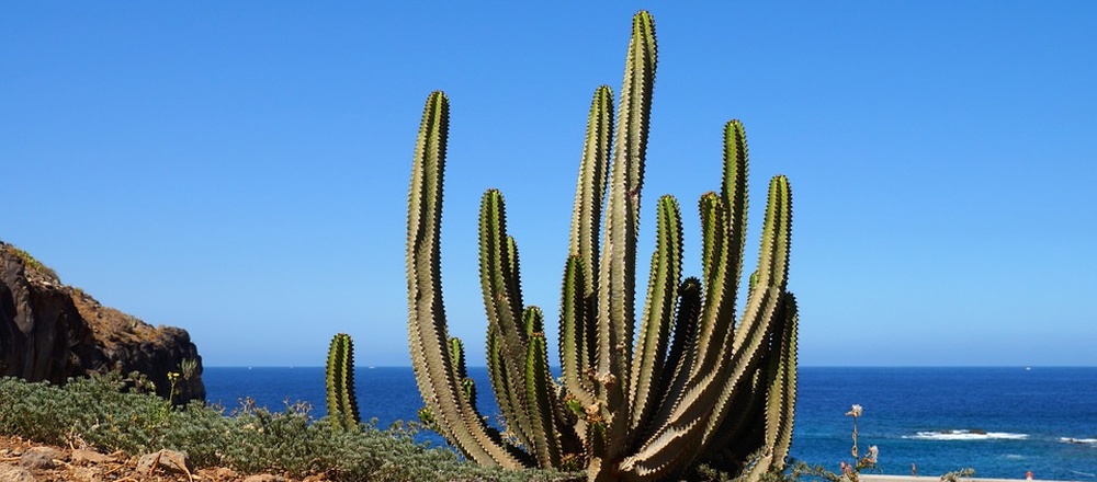 self guided hiking in Canaries islands with Aluna Voyages