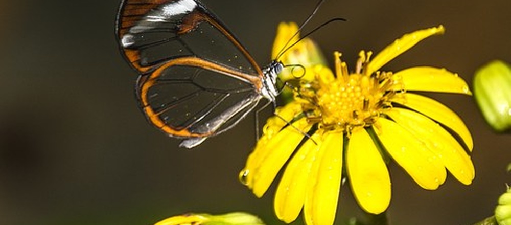 self guided journey in Tenerife with Aluna Voyages