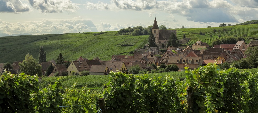 Village et vignoble d' Alsace