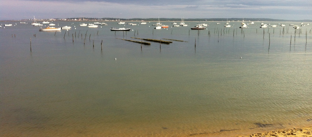 Bassin d'Arcachon