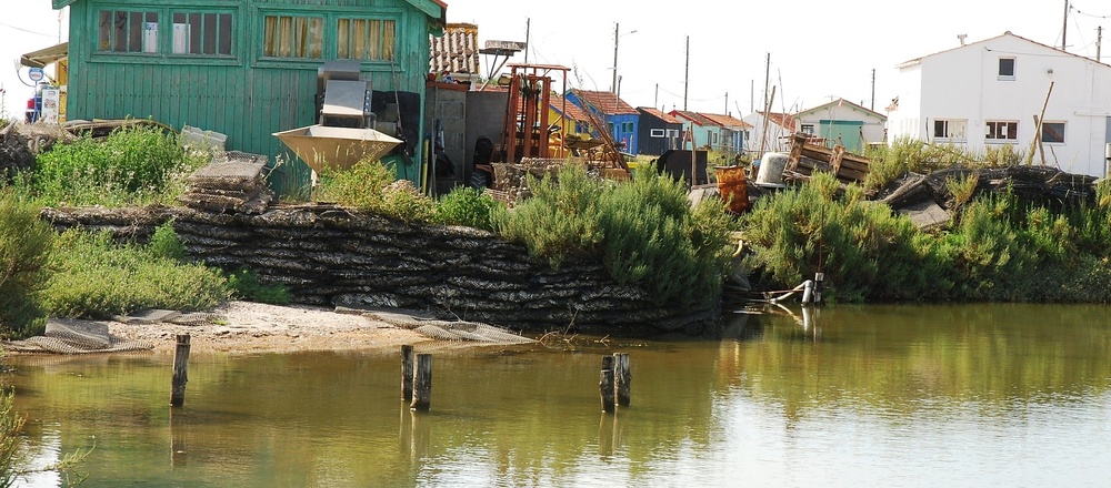 Cabane port de l'herbe  Arcachon