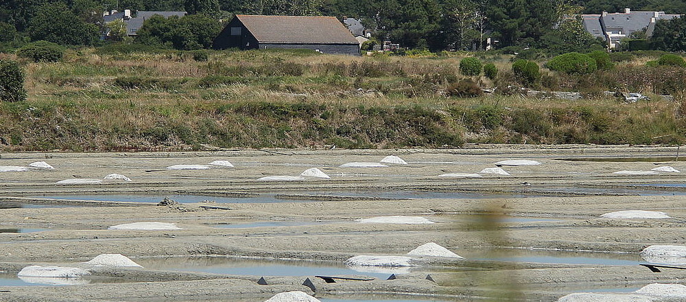 Saline Guerande
