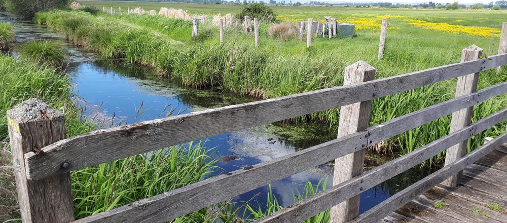 Marche nordique Etretat Normandie