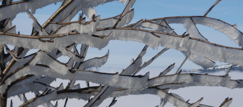 Dentelle de givre- Auvergne