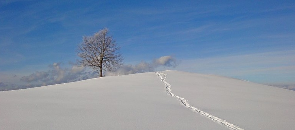 Trace de raquette a neige sur le plateau du Vercors