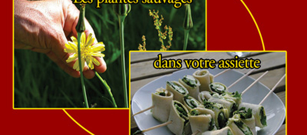 découverte et utilisation des plantes sauvages comestibles