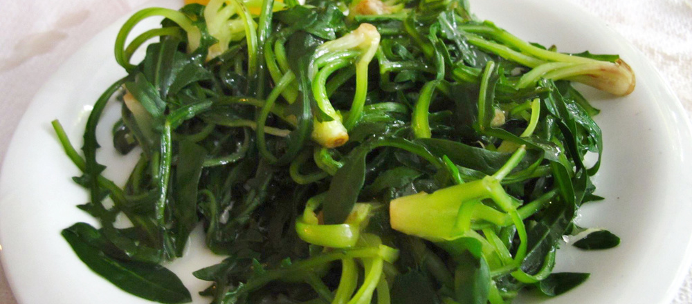 Plat de plantes sauvages en Auvergne