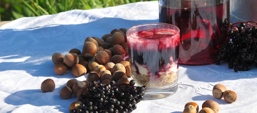 Verrine de sureau gastronomie sauvage en Auvergne