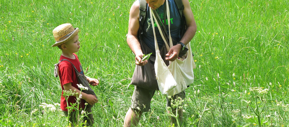transmission des plantes sauvages comestibles