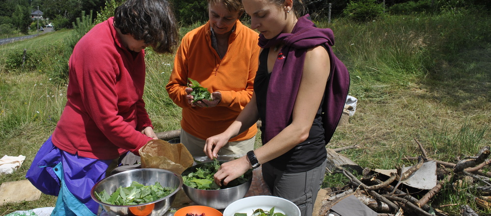 préparation de la gastronomie sauvage en Auvergne