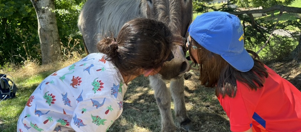 Randonnée avec un âne en  Ardèche