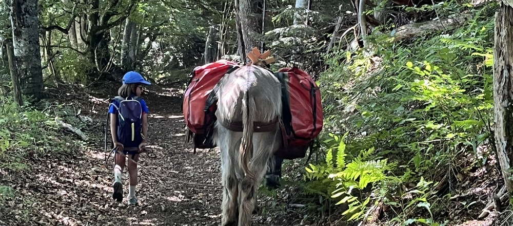 Randonnée accompagnée Ardèche avec un âne