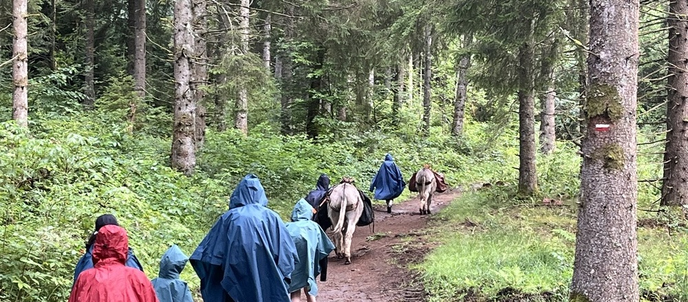 âne en Auvergne et chaine des puys