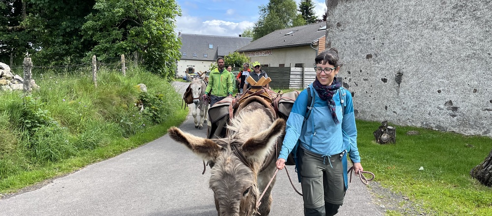randonnée avec les ânes en Auvergne