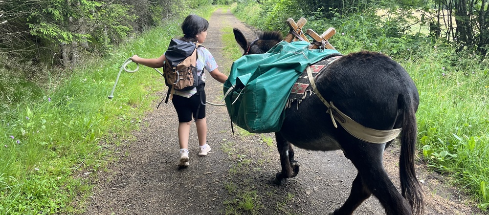 Journée avec un ane