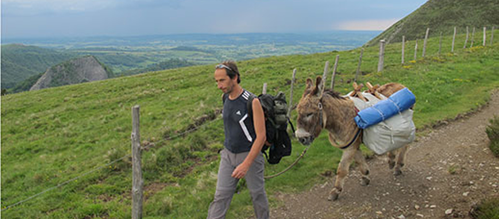 randonnée avec un âne en Auvergne