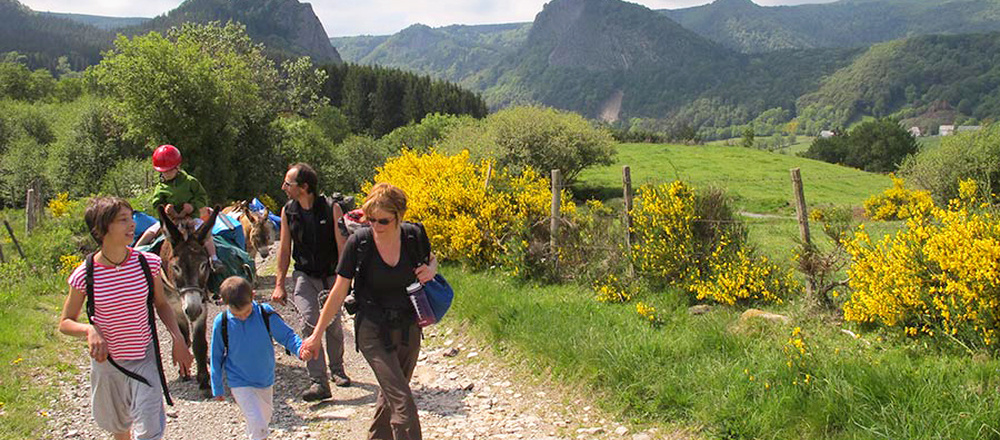 Randonnée  avec un âne en Auvergne