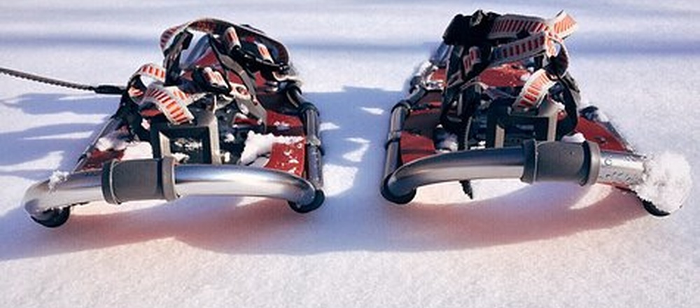 raquette a neige randonnée hiver en famille