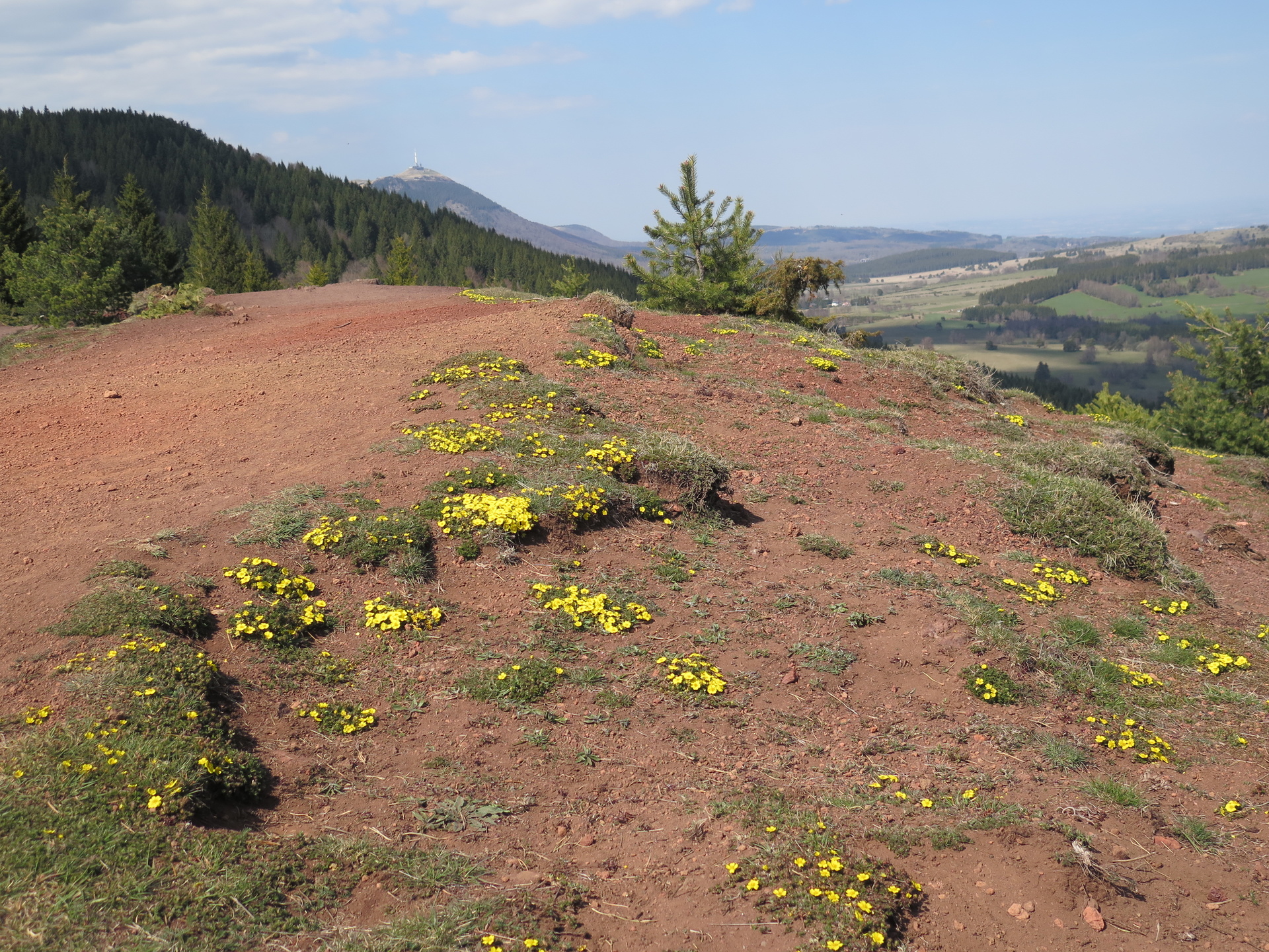 4 jours de randonnée en liberté tout confort en Auvergne avec un âne