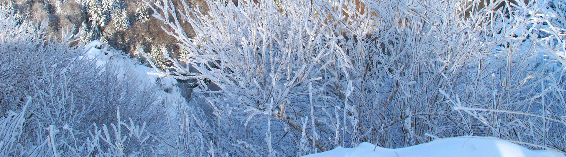 3 jours de rando hivernale en Auvergne | Hébergement en hôtel
