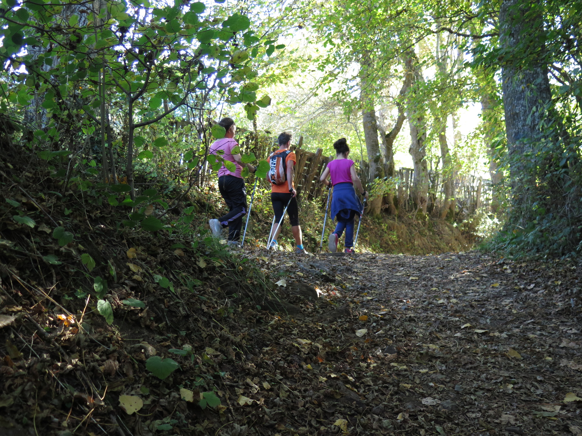 Séjours de marche nordique partout en France - Circuits Nordic Walking