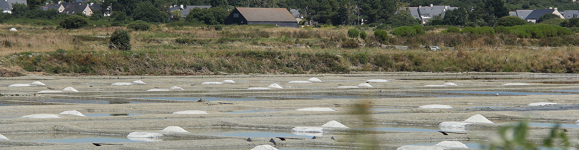 Formulaire de réservation - Marche Nordique sur la presqu'ile de Guerande | Aluna Voyages