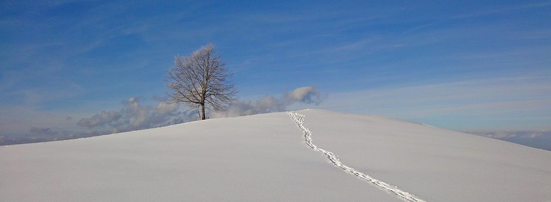 Petits trappeurs en habit d'hiver | séjour nature en famille en Auvergne