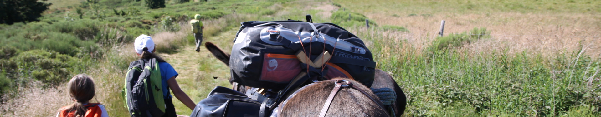 Week-end guidé des Monts  d'Ardèche avec un âne | Aluna Voyages