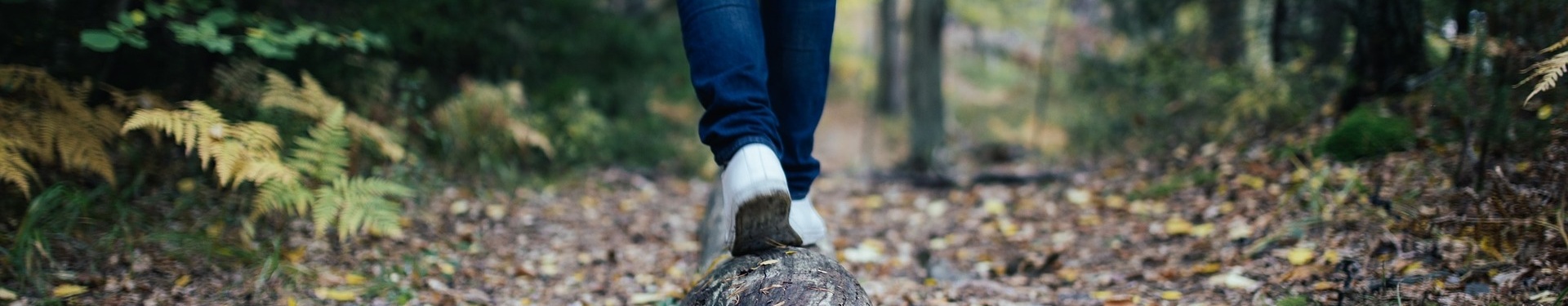 Marche consciente en Auvergne | 3 jours de reconnexion nature