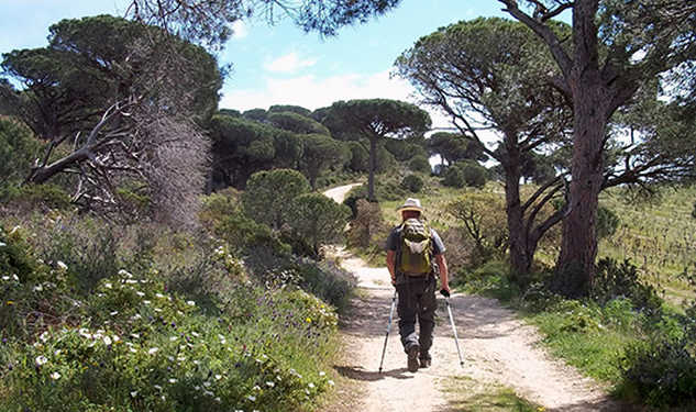 hiking in Provence Aluna voyages