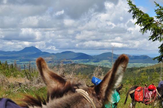 3 days with a donkey in Auvergne - 2 hotel nights | Aluna Voyages
