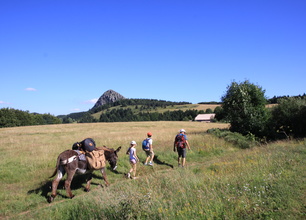 Tour guidé des Monts d'Ardèche avec un âne